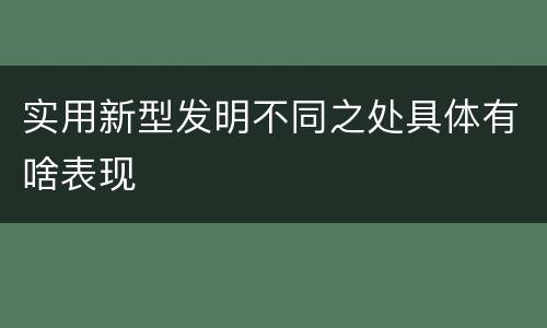 实用新型发明不同之处具体有啥表现