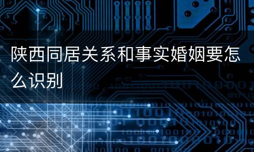 陕西同居关系和事实婚姻要怎么识别