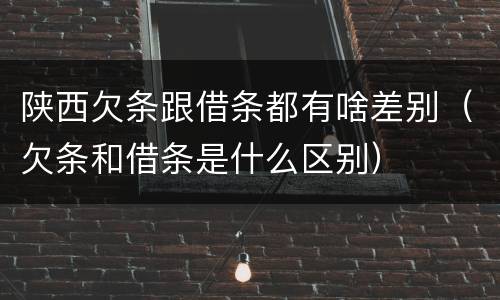 陕西欠条跟借条都有啥差别（欠条和借条是什么区别）