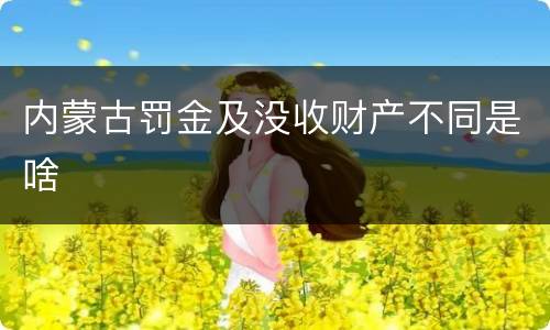 内蒙古罚金及没收财产不同是啥