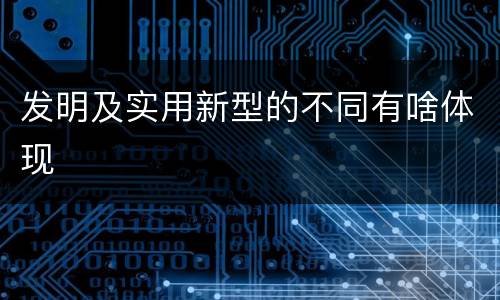 发明及实用新型的不同有啥体现