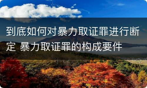 到底如何对暴力取证罪进行断定 暴力取证罪的构成要件
