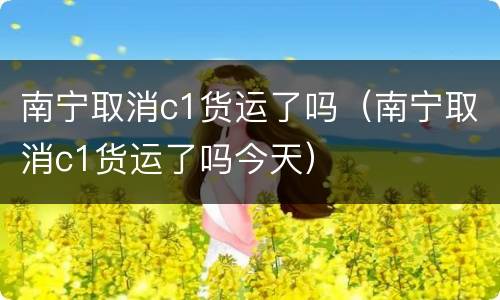南宁取消c1货运了吗（南宁取消c1货运了吗今天）
