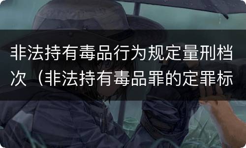 非法持有毒品行为规定量刑档次（非法持有毒品罪的定罪标准）