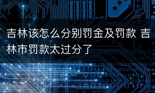 吉林该怎么分别罚金及罚款 吉林市罚款太过分了