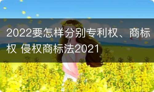 2022要怎样分别专利权、商标权 侵权商标法2021