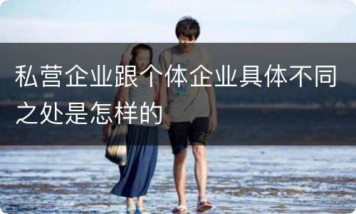私营企业跟个体企业具体不同之处是怎样的