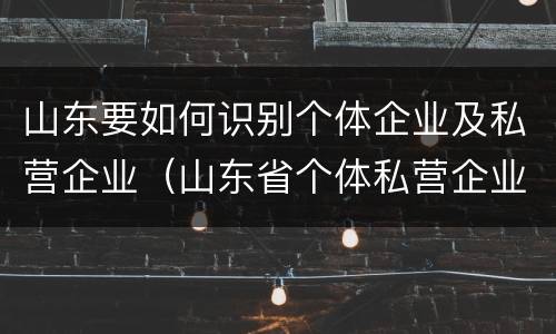 山东要如何识别个体企业及私营企业（山东省个体私营企业协会）
