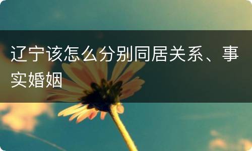 辽宁该怎么分别同居关系、事实婚姻