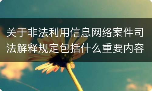 关于非法利用信息网络案件司法解释规定包括什么重要内容