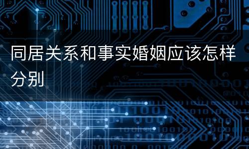 同居关系和事实婚姻应该怎样分别