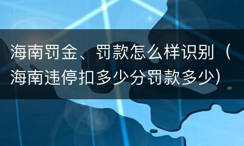 海南罚金、罚款怎么样识别（海南违停扣多少分罚款多少）