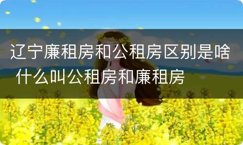 辽宁廉租房和公租房区别是啥 什么叫公租房和廉租房