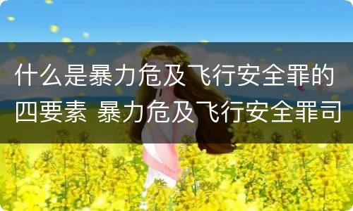 什么是暴力危及飞行安全罪的四要素 暴力危及飞行安全罪司法解释