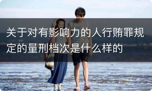 关于对有影响力的人行贿罪规定的量刑档次是什么样的