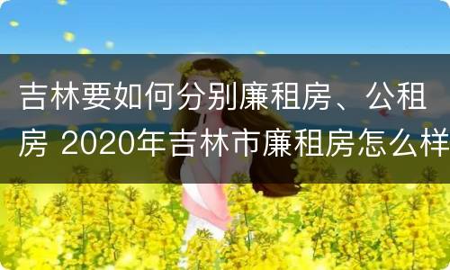 吉林要如何分别廉租房、公租房 2020年吉林市廉租房怎么样