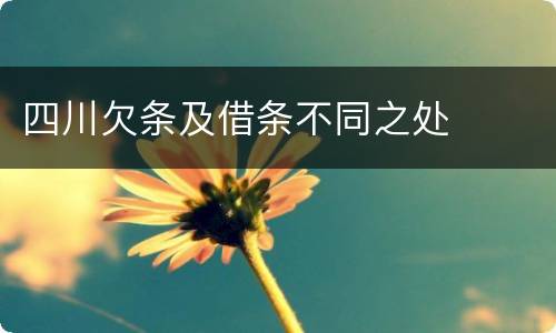 四川欠条及借条不同之处