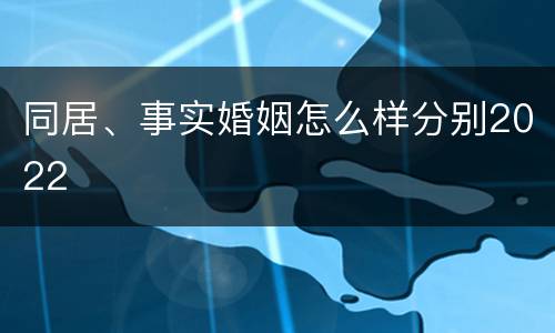 同居、事实婚姻怎么样分别2022