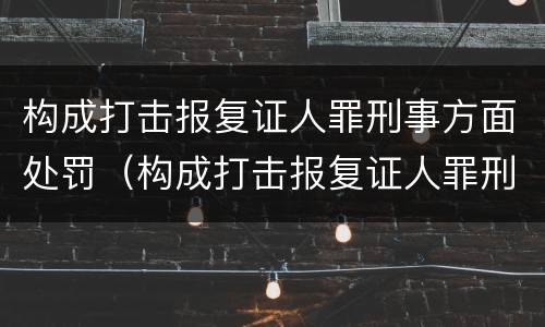 构成打击报复证人罪刑事方面处罚（构成打击报复证人罪刑事方面处罚决定书）
