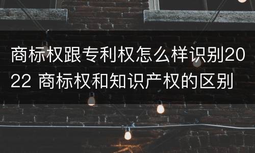 商标权跟专利权怎么样识别2022 商标权和知识产权的区别