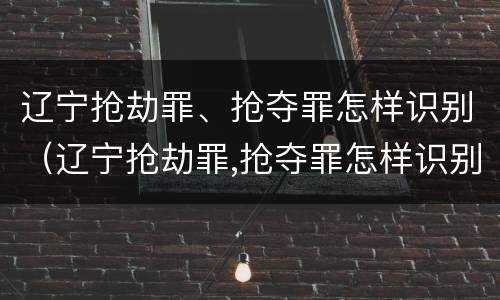 辽宁抢劫罪、抢夺罪怎样识别（辽宁抢劫罪,抢夺罪怎样识别的）