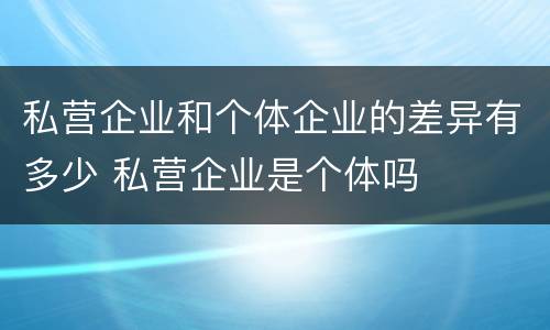 私营企业和个体企业的差异有多少 私营企业是个体吗