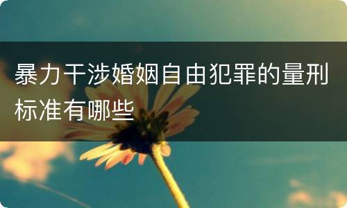 暴力干涉婚姻自由犯罪的量刑标准有哪些