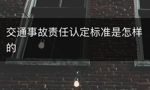 交通事故责任认定标准是怎样的