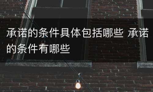 承诺的条件具体包括哪些 承诺的条件有哪些