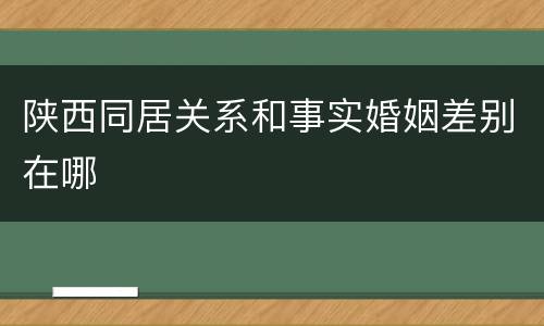 陕西同居关系和事实婚姻差别在哪