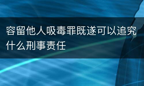容留他人吸毒罪既遂可以追究什么刑事责任