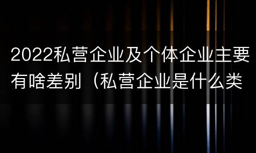 2022私营企业及个体企业主要有啥差别（私营企业是什么类型的企业）