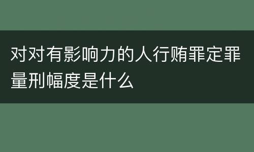 对对有影响力的人行贿罪定罪量刑幅度是什么