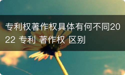 专利权著作权具体有何不同2022 专利 著作权 区别