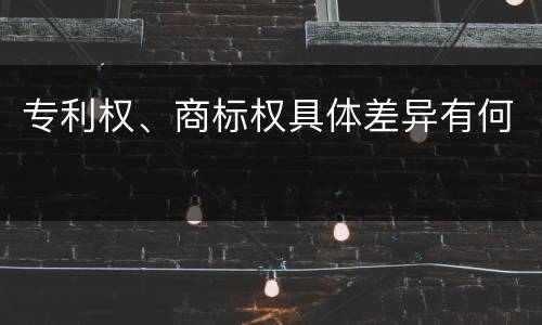 专利权、商标权具体差异有何