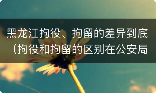 黑龙江拘役、拘留的差异到底（拘役和拘留的区别在公安局）