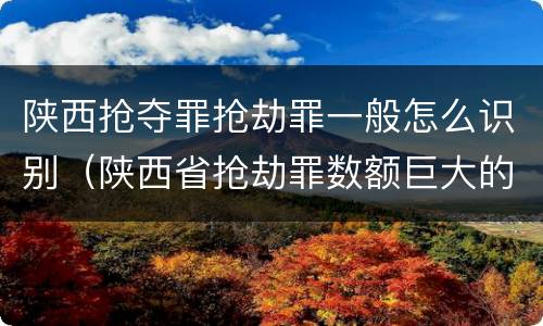 陕西抢夺罪抢劫罪一般怎么识别（陕西省抢劫罪数额巨大的标准）