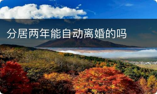 分居两年能自动离婚的吗