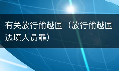 有关放行偷越国（放行偷越国边境人员罪）