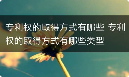 专利权的取得方式有哪些 专利权的取得方式有哪些类型