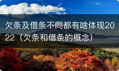 欠条及借条不同都有啥体现2022（欠条和借条的概念）