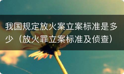 我国规定放火案立案标准是多少（放火罪立案标准及侦查）