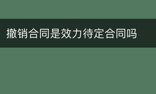 撤销合同是效力待定合同吗