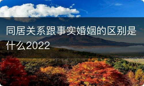 同居关系跟事实婚姻的区别是什么2022