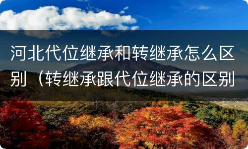河北代位继承和转继承怎么区别（转继承跟代位继承的区别）
