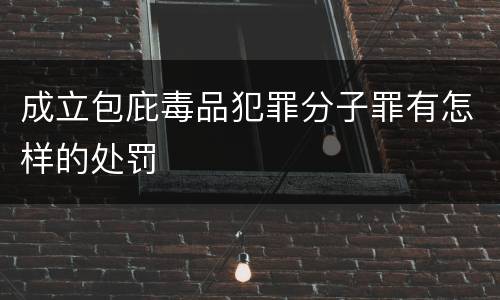 成立包庇毒品犯罪分子罪有怎样的处罚