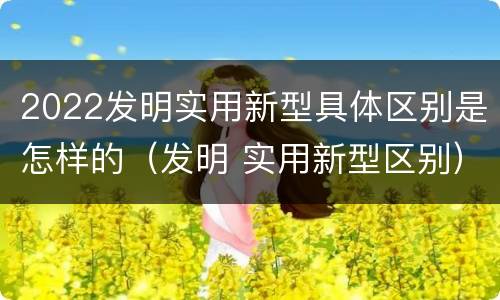 2022发明实用新型具体区别是怎样的（发明 实用新型区别）