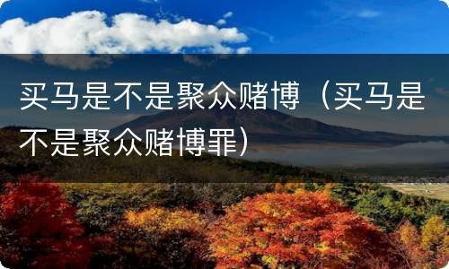 买马是不是聚众赌博（买马是不是聚众赌博罪）