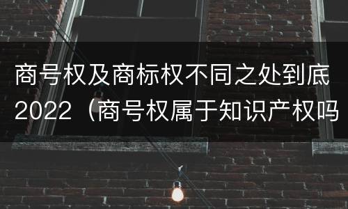 商号权及商标权不同之处到底2022（商号权属于知识产权吗）