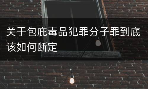 关于包庇毒品犯罪分子罪到底该如何断定